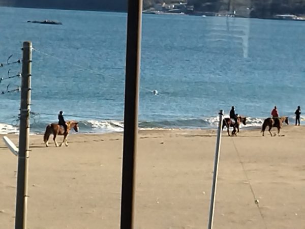 マクドナルド三浦海岸店